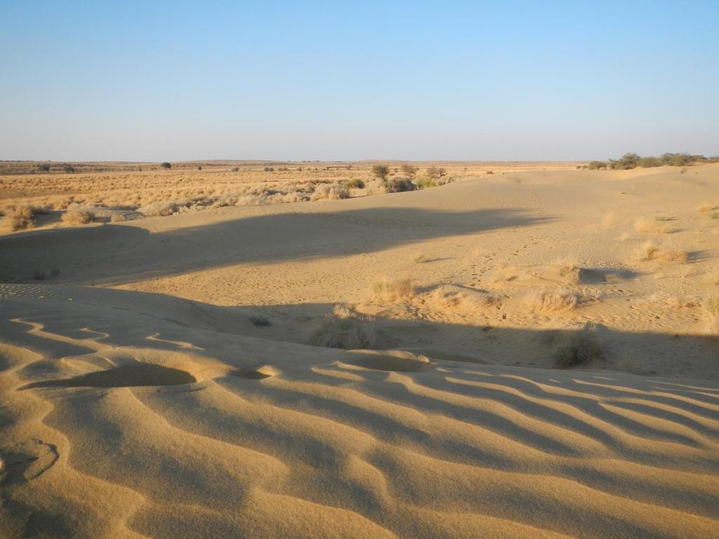 Hotel Renuka Jaisalmer Eksteriør bilde