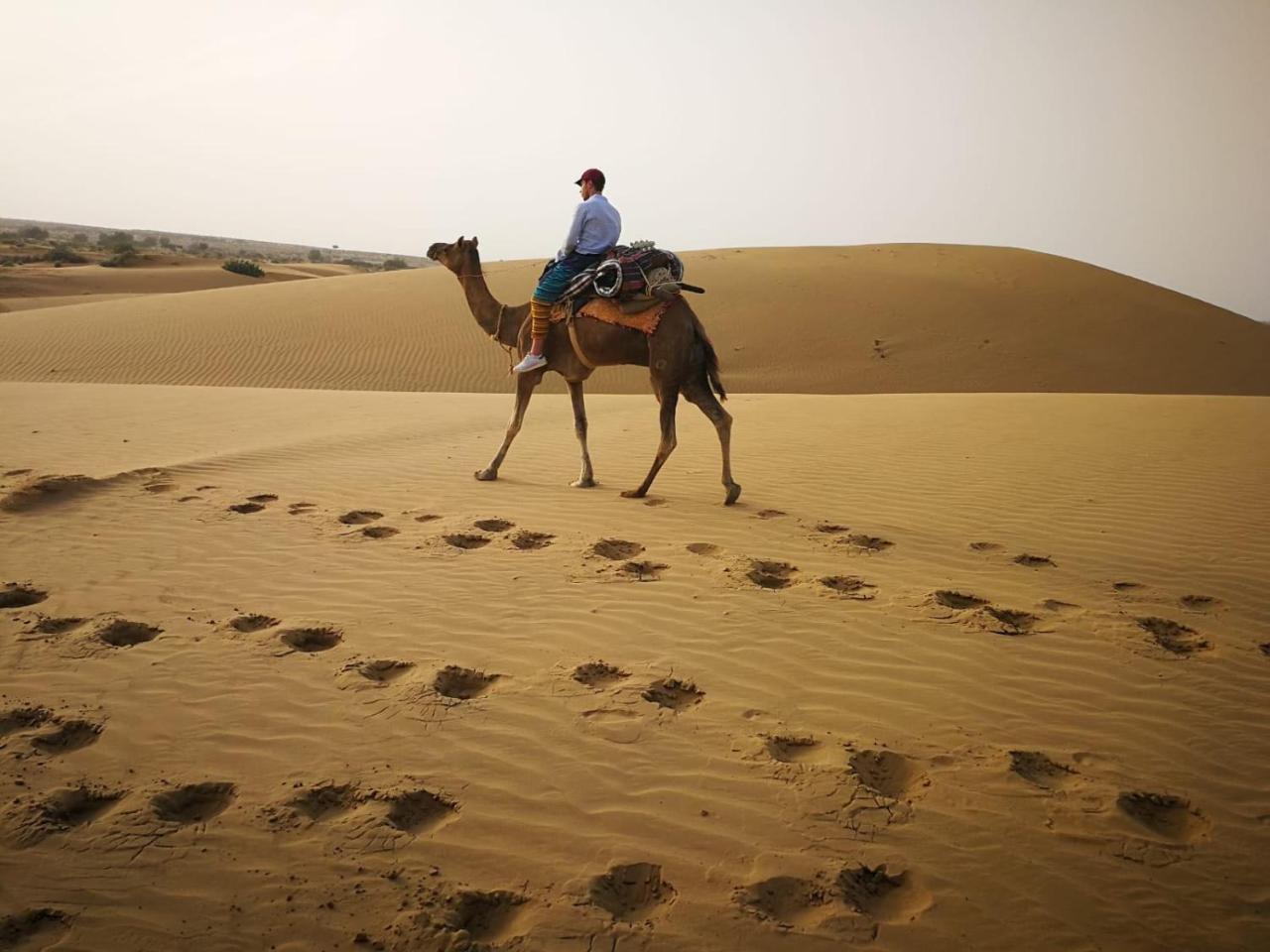Hotel Renuka Jaisalmer Eksteriør bilde
